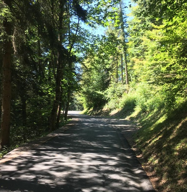 Festivités pour l'inauguration de la route entre Villeneuve et Sonchaux